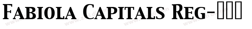 Fabiola Capitals Reg字体转换